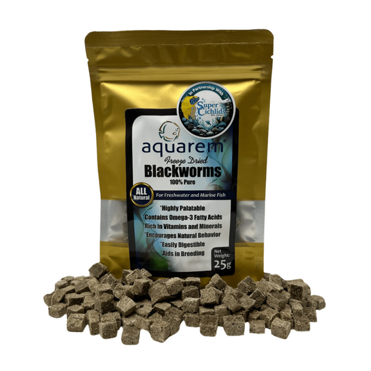 Premium Freeze Dried Blackworms - All Natural