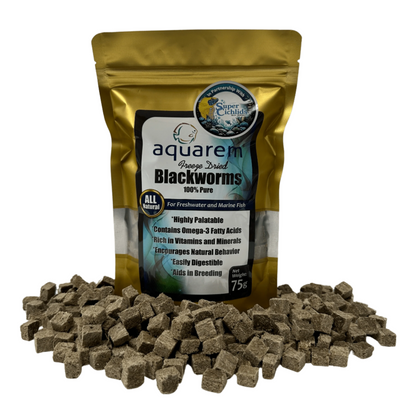 Premium Freeze Dried Blackworms - All Natural